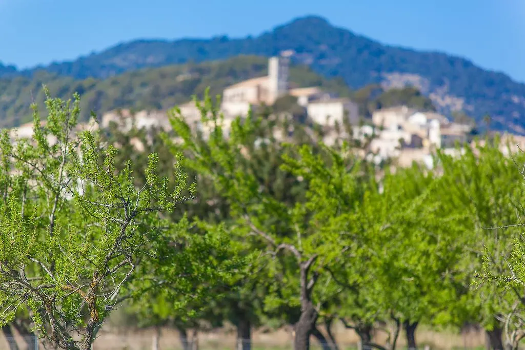 Ses Planes - Adults Only Villa Selva   Selva (Mallorca)